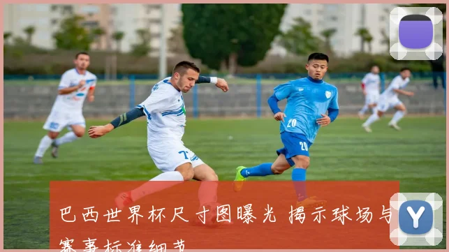 巴西世界杯尺寸图曝光 揭示球场与赛事标准细节